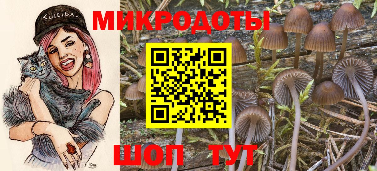 Дубна  Псилоцибиновые грибы Psilocybine cubensis  Вход с VPN  хочу наркоту  Галлюциногенные грибы Psilocybe 