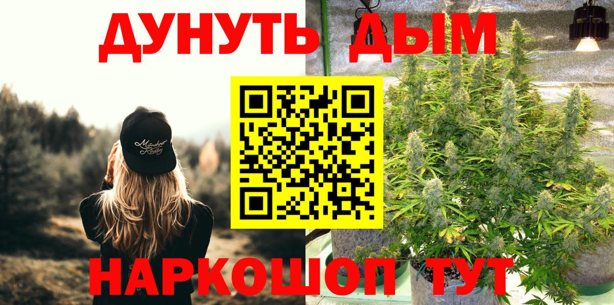 Бошки марихуана ГИДРОПОН  Канабис планчик  Вход с VPN  Дубна 